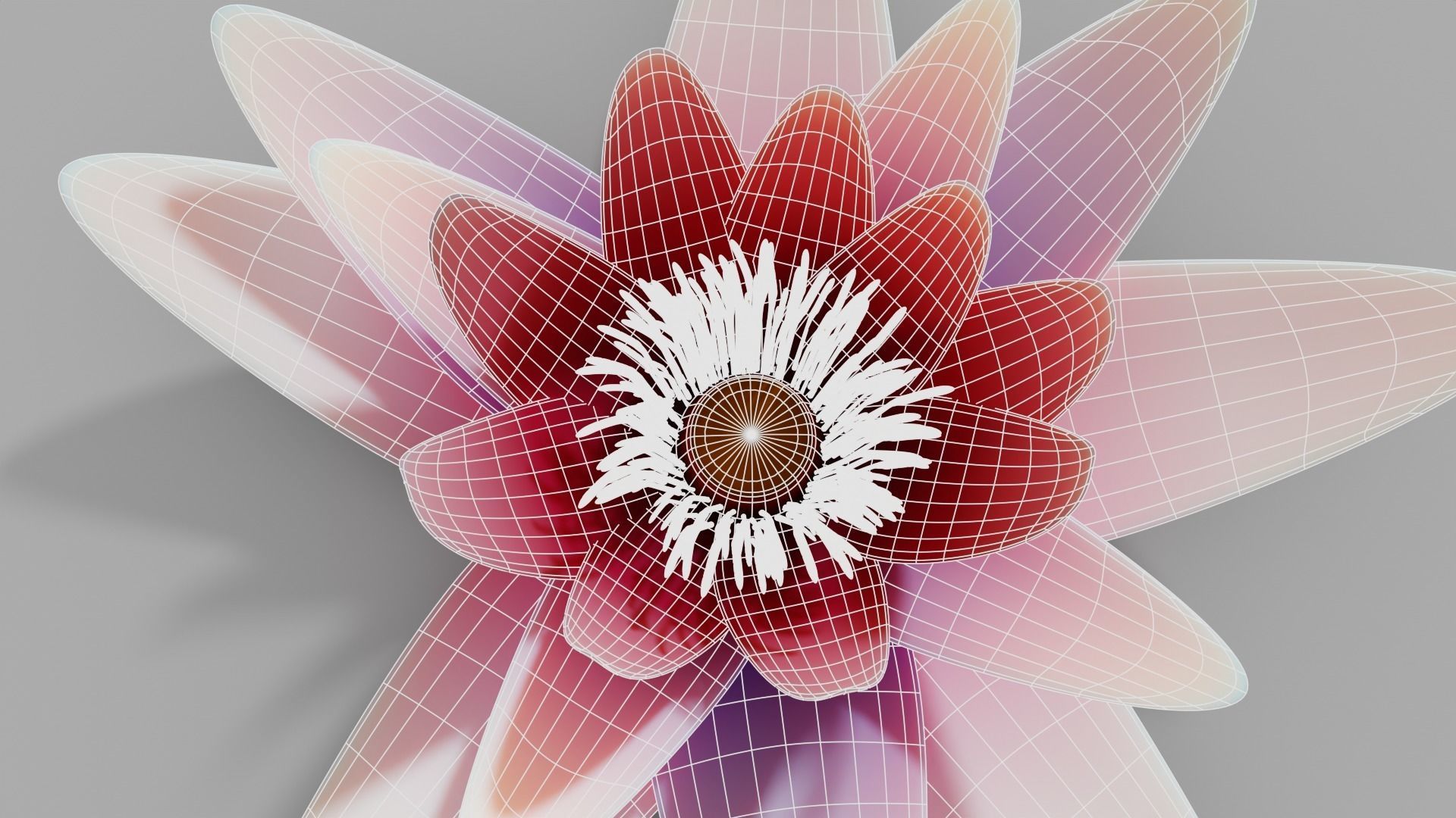 Waterlily with Leaf 3D model_14