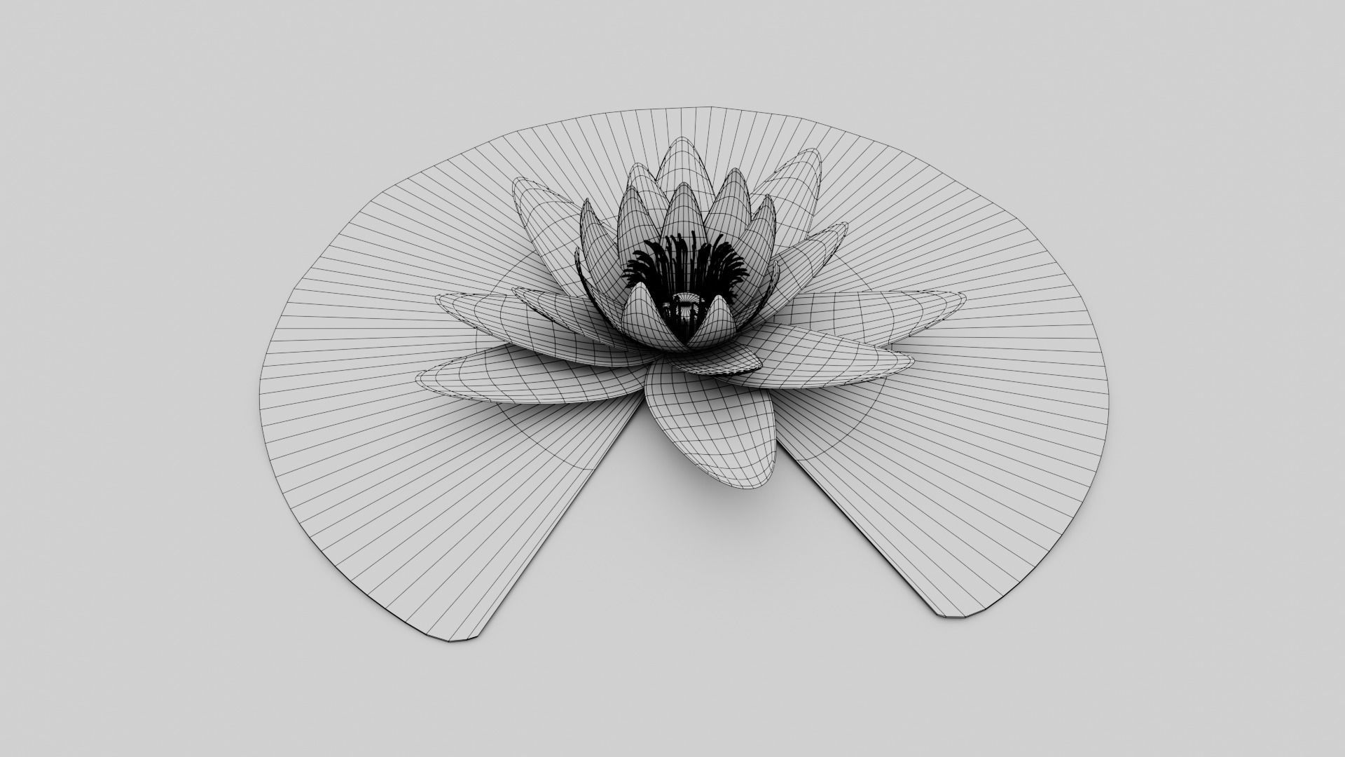 Waterlily with Leaf 3D model_3