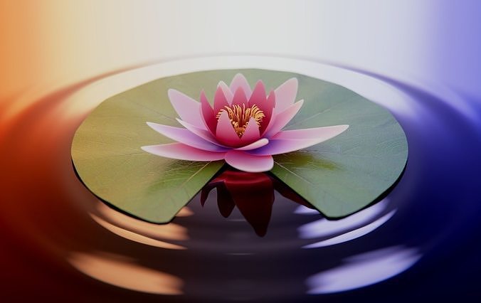 Waterlily with Leaf 3D model