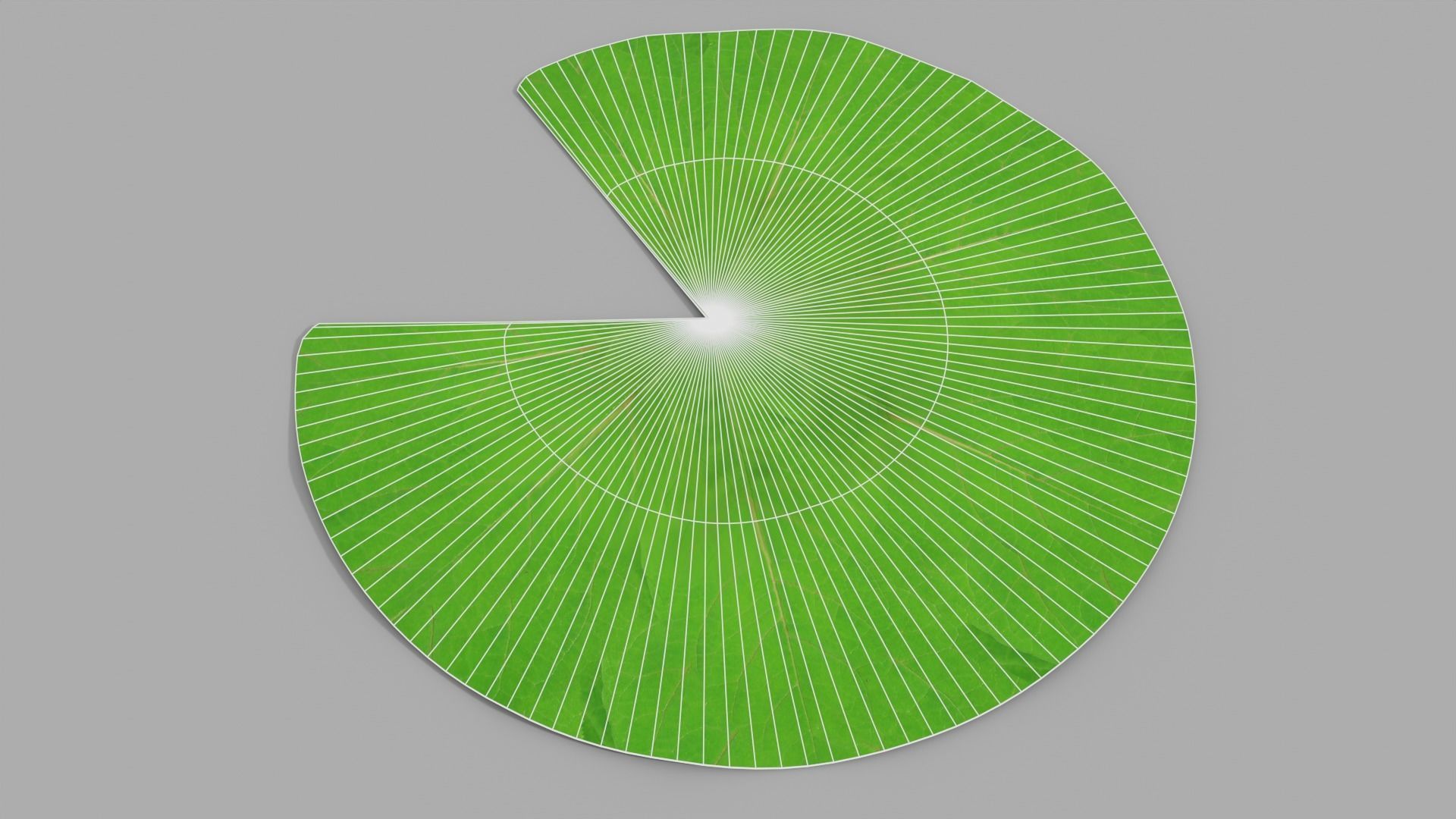 Waterlily with Leaf 3D model_17