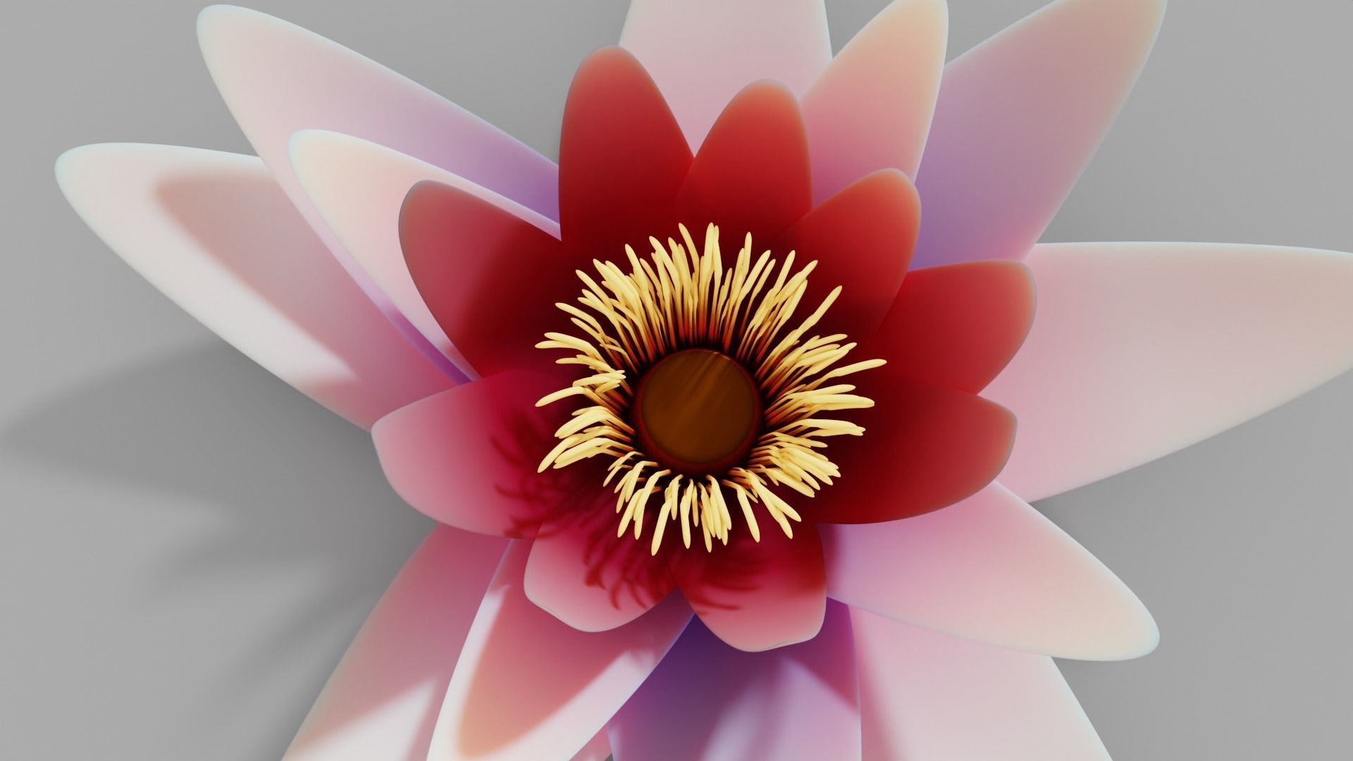Waterlily with Leaf 3D model_13