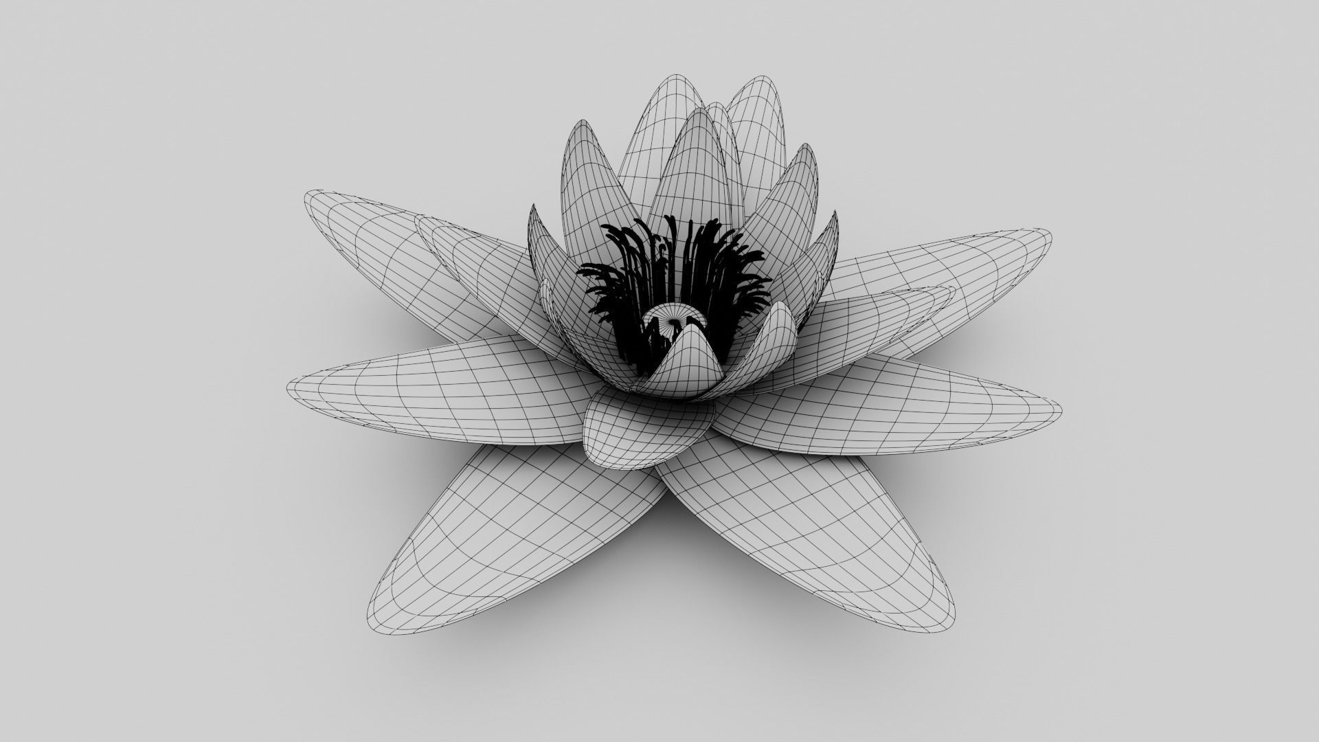 Waterlily with Leaf 3D model_12