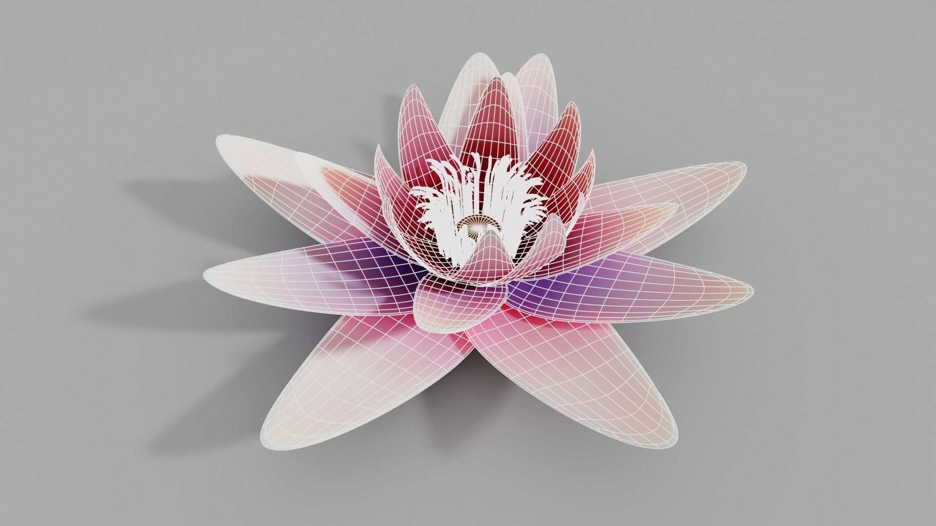 Waterlily with Leaf 3D model_11