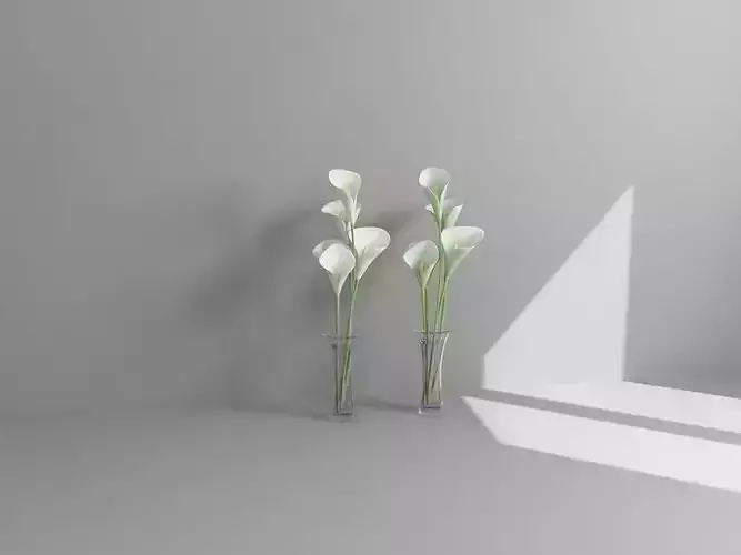 Vol3 Accessory0028 VR