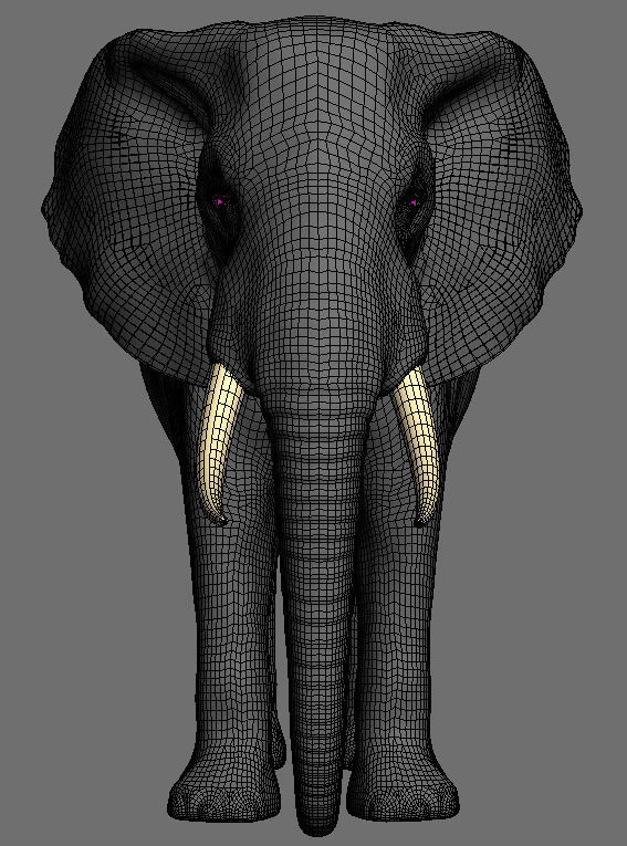 African heavy pack - 3d model 3D model_78