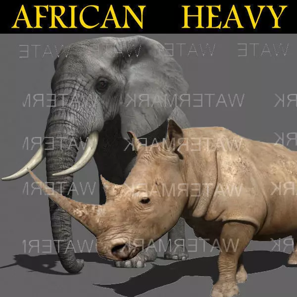 African heavy pack - 3d model 3D model_0