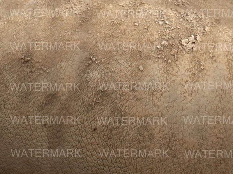 African heavy pack - 3d model 3D model_47