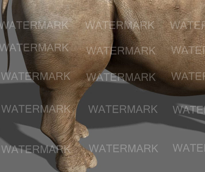 African heavy pack - 3d model 3D model_56