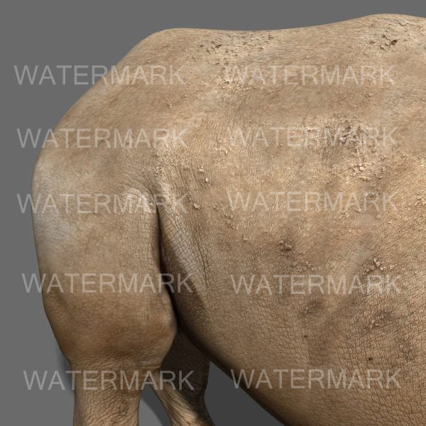 African heavy pack - 3d model 3D model_57