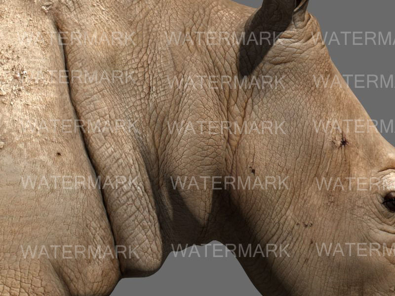 African heavy pack - 3d model 3D model_48