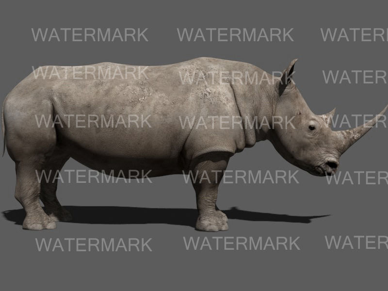 African heavy pack - 3d model 3D model_34