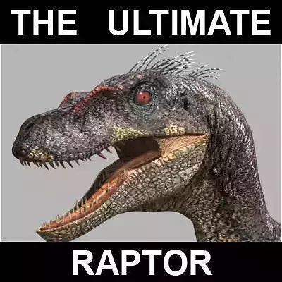 The Ultimate Raptor 3D model