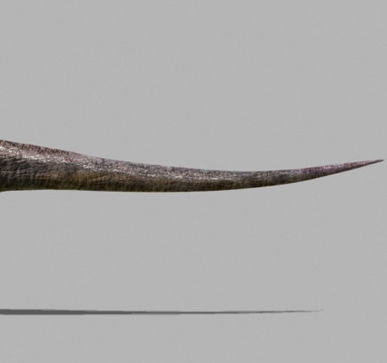 The Ultimate Raptor 3D model_35