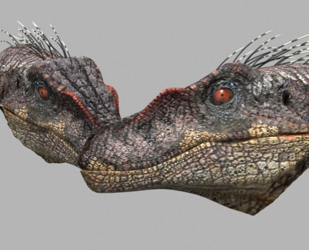 The Ultimate Raptor 3D model_25
