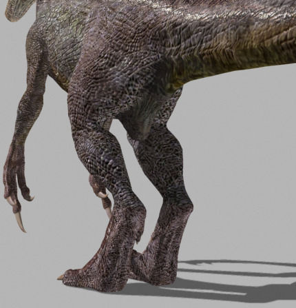 The Ultimate Raptor 3D model_27