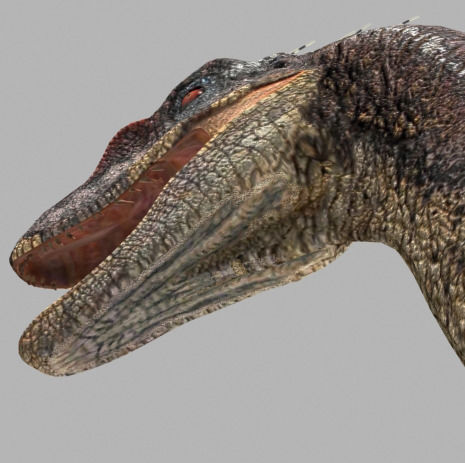 The Ultimate Raptor 3D model_17
