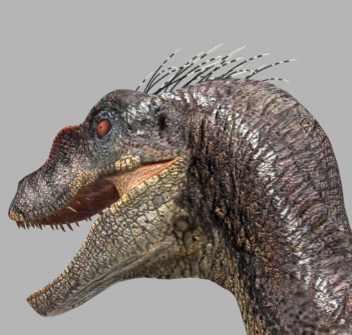 The Ultimate Raptor 3D model_15