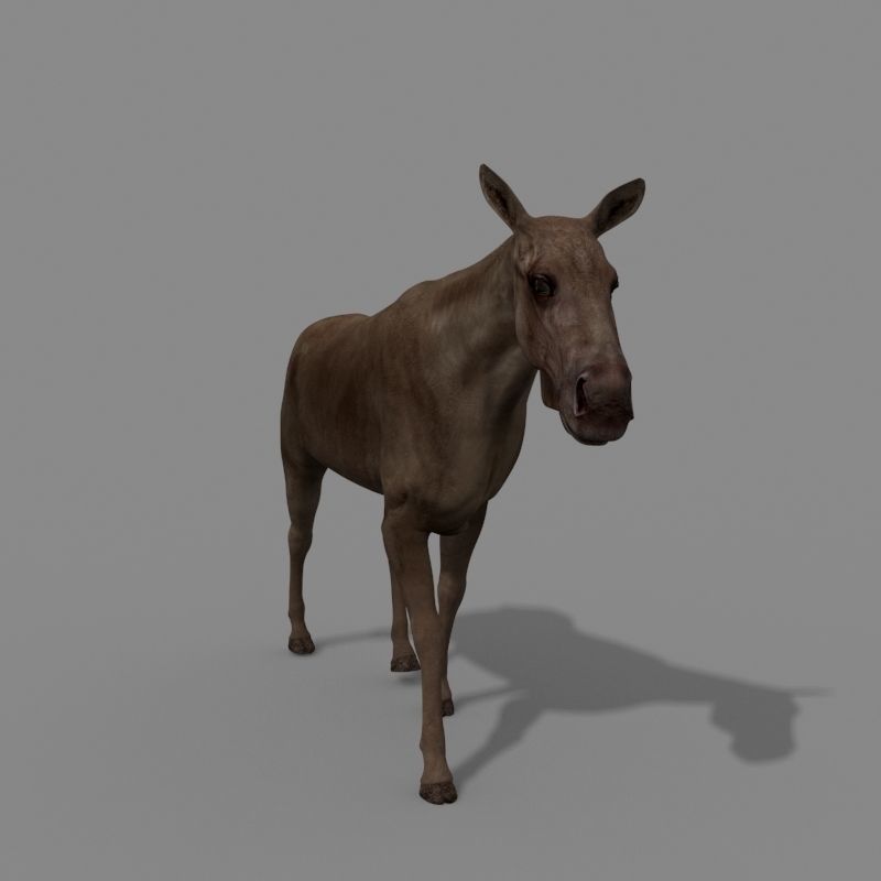 Virtual Moose 3d model 3D model_20