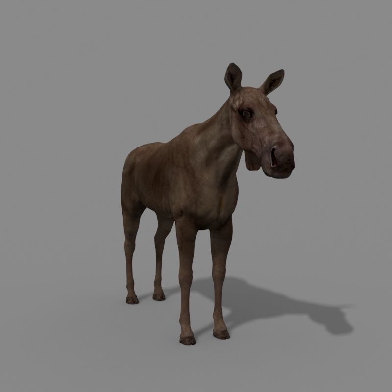 Virtual Moose 3d model 3D model_19