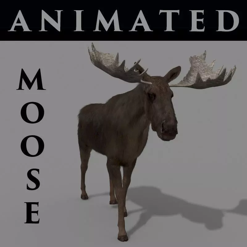Virtual Moose 3d model 3D model_0