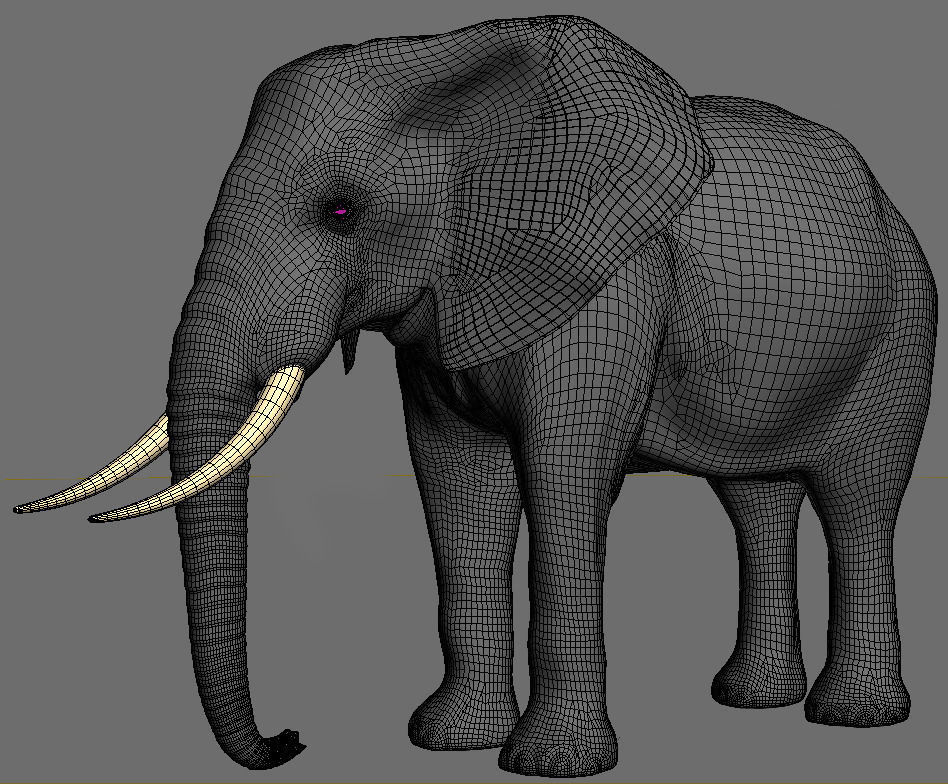 PRO Elephant 1 - 3d model 3D model_10
