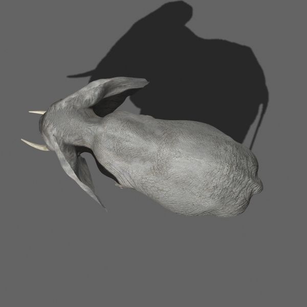 PRO Elephant 1 - 3d model 3D model_8