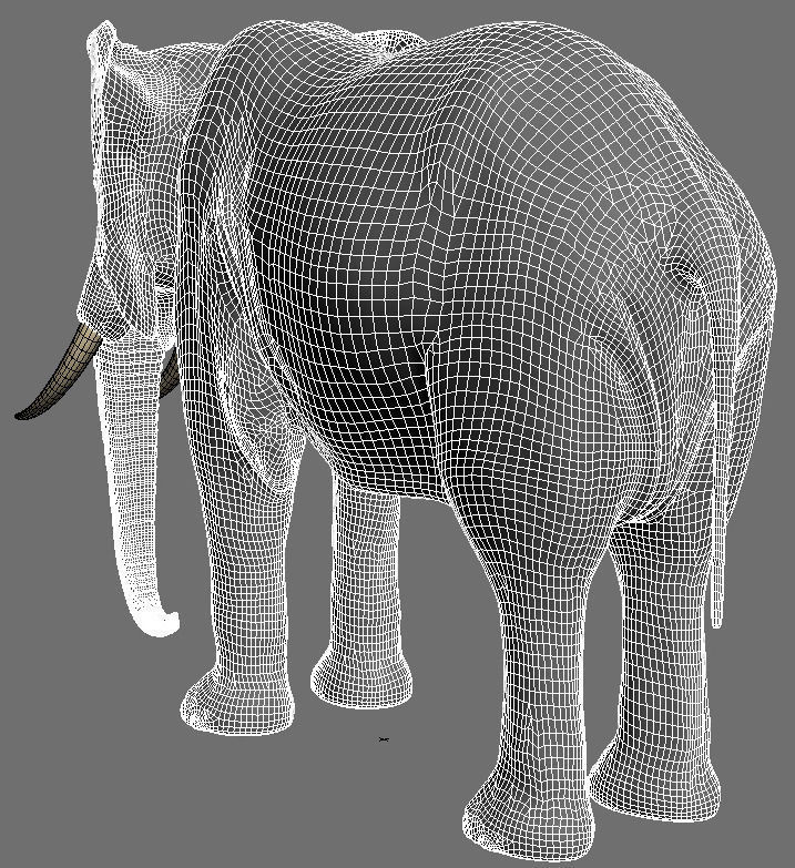 PRO Elephant 1 - 3d model 3D model_13