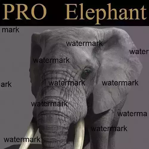 PRO Elephant 1 - 3d model