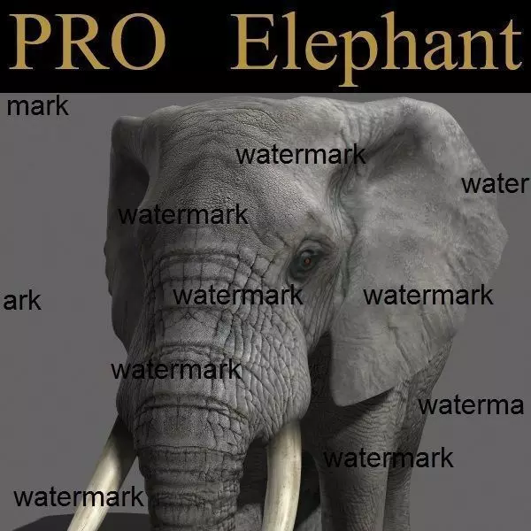 PRO Elephant 1 - 3d model 3D model_0