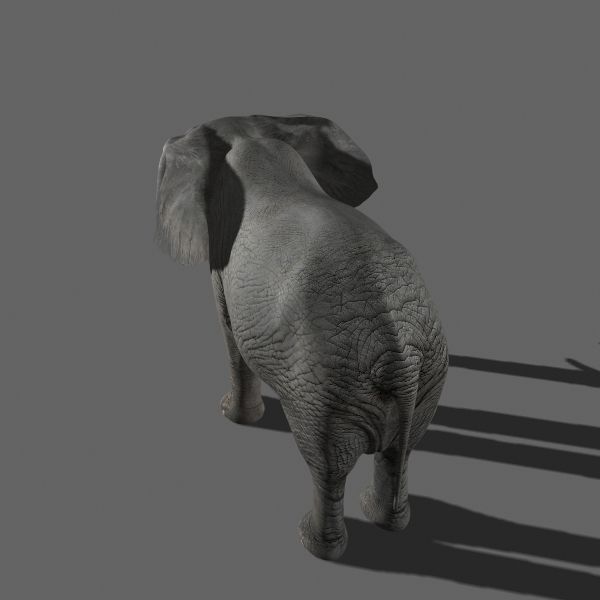 PRO Elephant 1 - 3d model 3D model_3