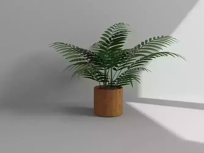 Vol2 Accessory0016 VR