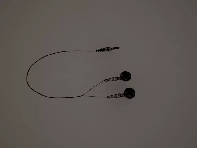 Earphones - Headphones 3D model_0