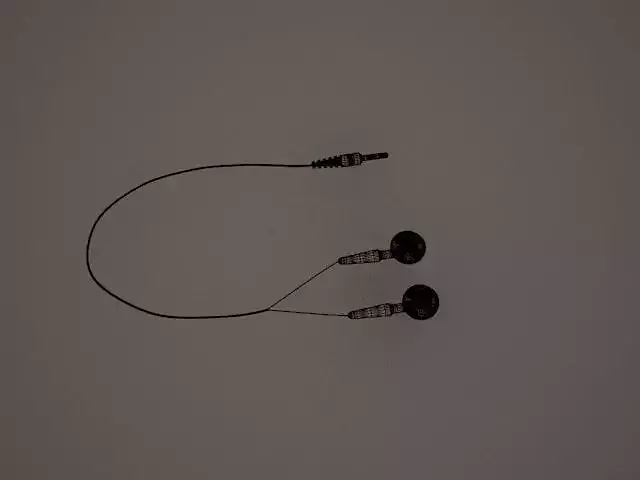Earphones - Headphones 3D model