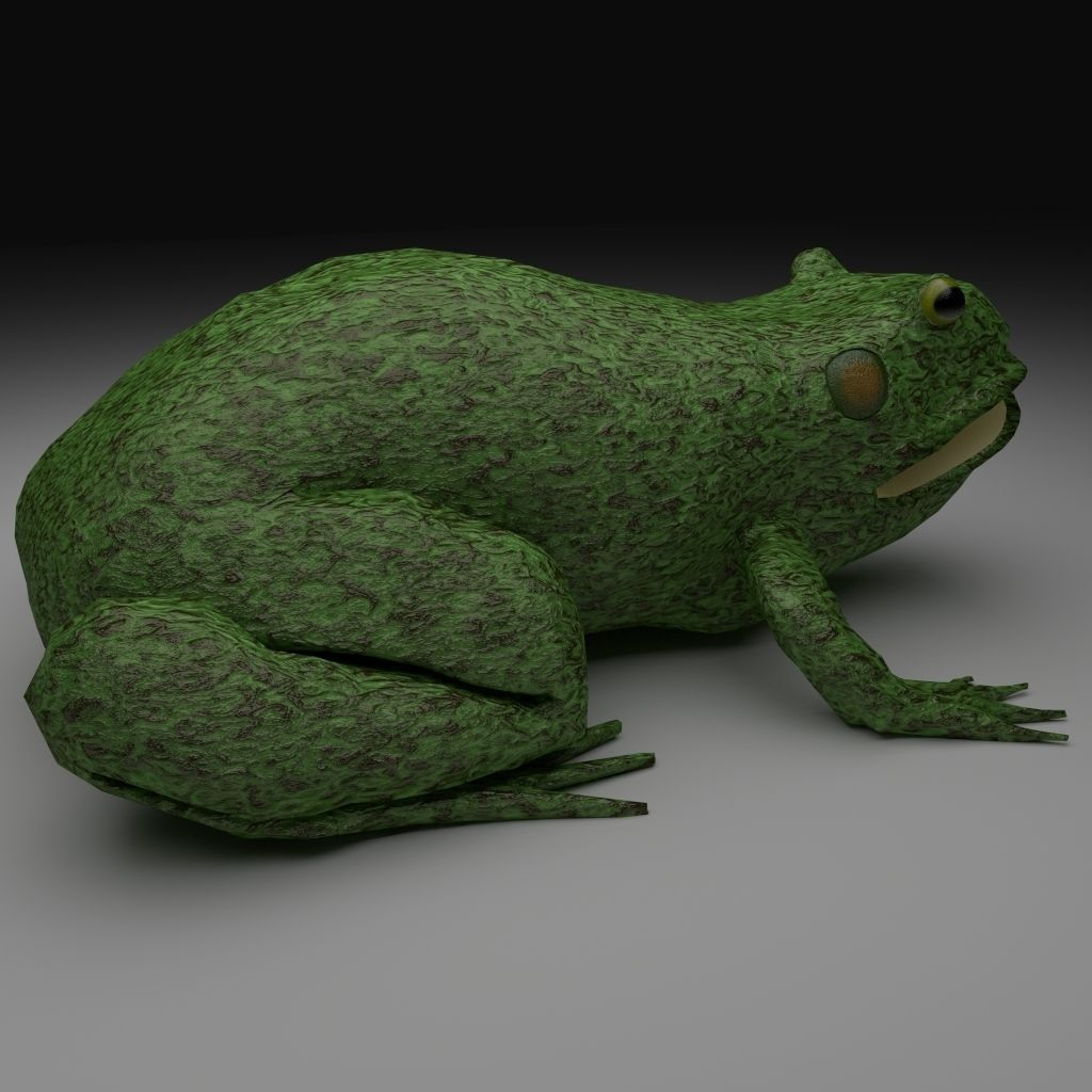 Rough Green frog - Cartoon Style Free low-poly 3D model_1