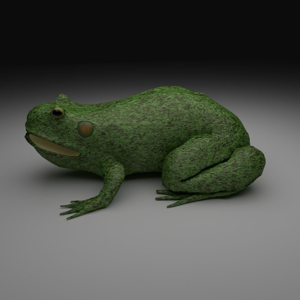 Rough Green frog - Cartoon Style Free low-poly 3D model_4