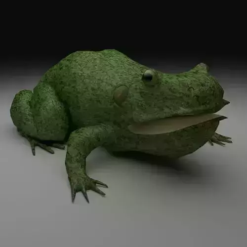 Rough Green frog - Cartoon Style Free low-poly 3D model