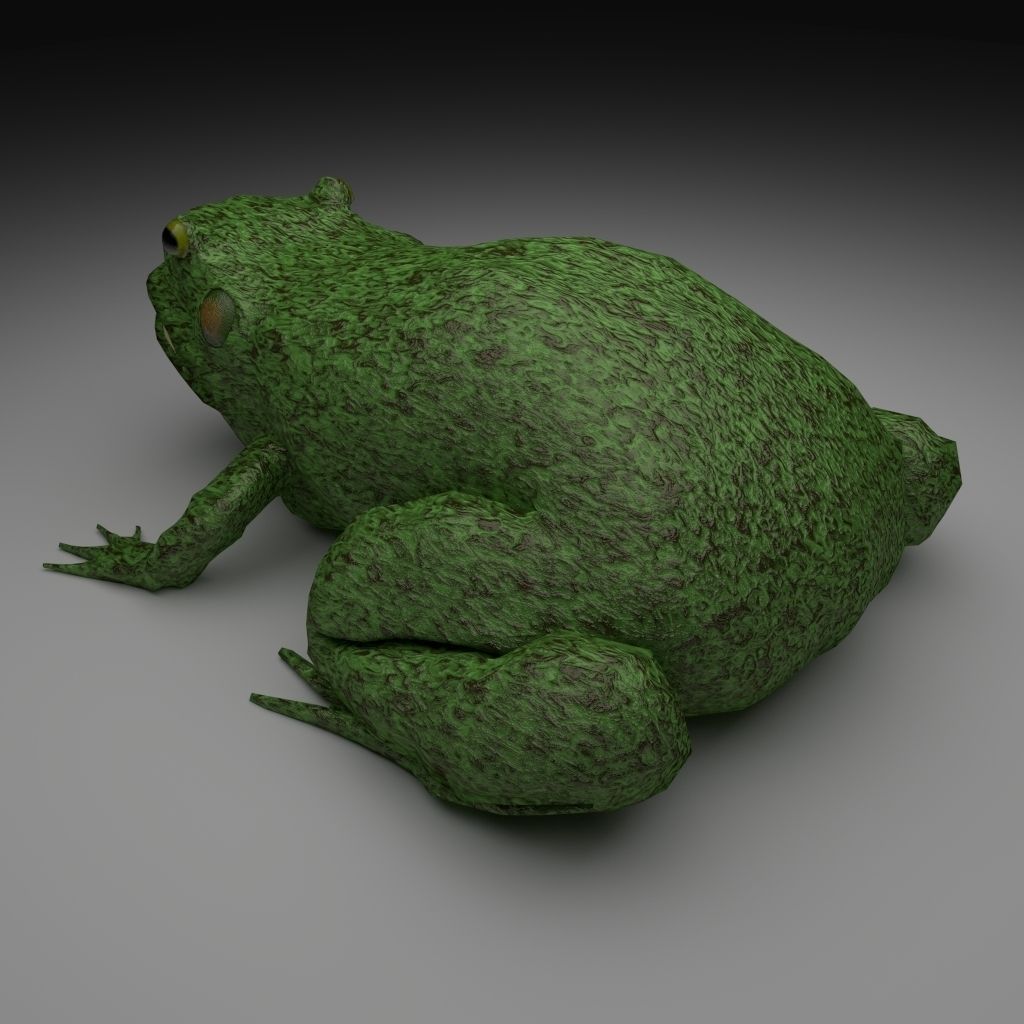Rough Green frog - Cartoon Style Free low-poly 3D model_3