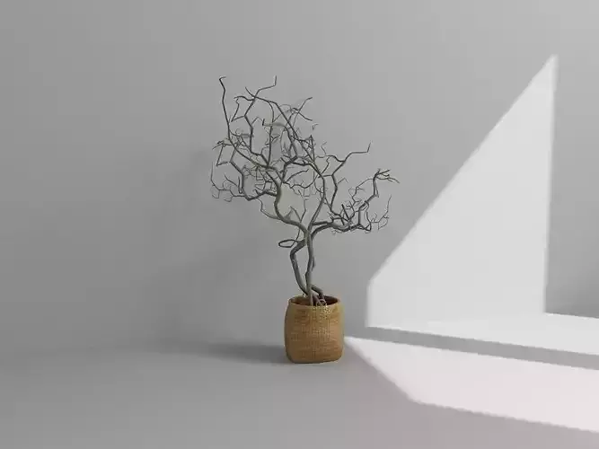 Vol2 Accessory0037 VR