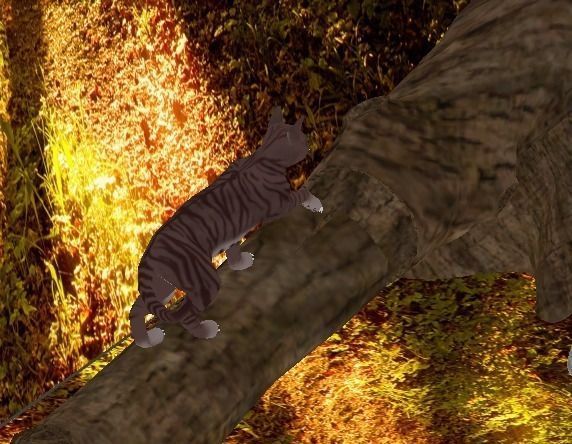 Domestic Cat Low-poly 3D model_4