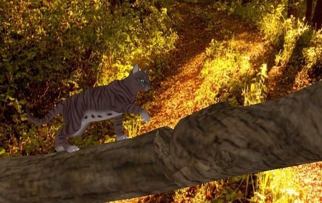 Domestic Cat Low-poly 3D model_5