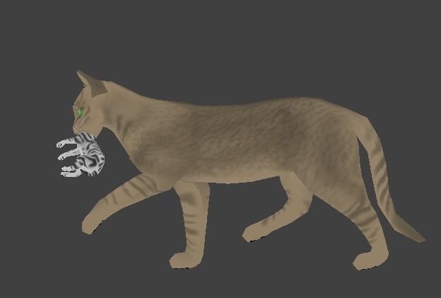 Domestic Cat Low-poly 3D model_9