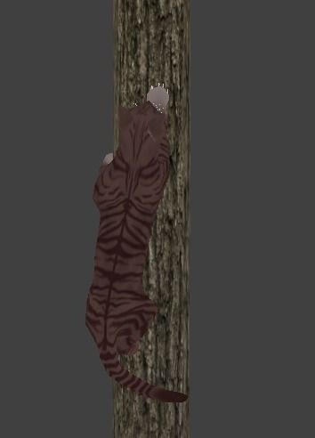 Domestic Cat Low-poly 3D model_1