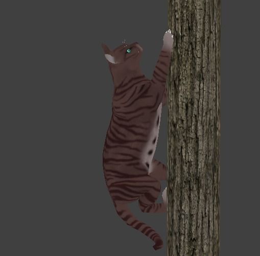 Domestic Cat Low-poly 3D model_2