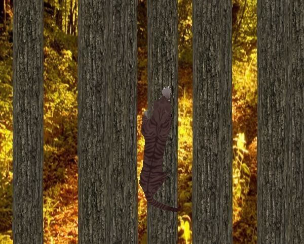 Domestic Cat Low-poly 3D model_3