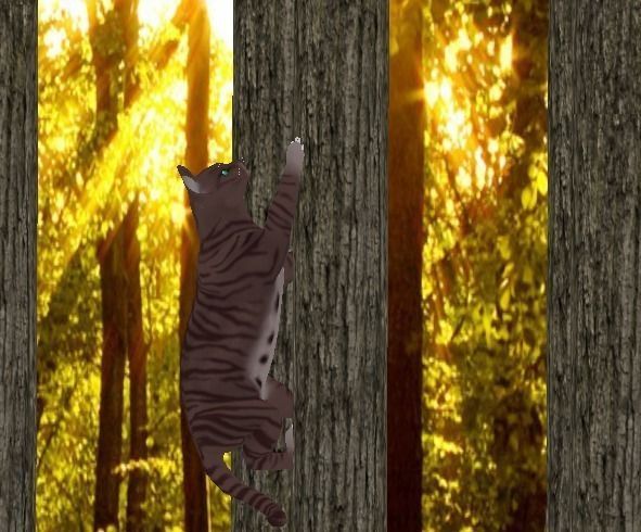 Domestic Cat Low-poly 3D model_0