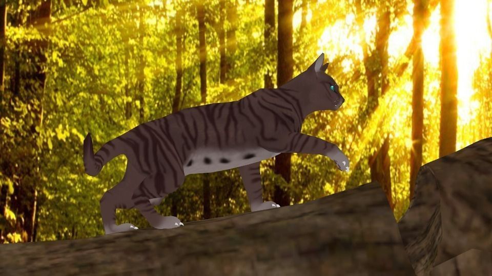 Domestic Cat Low-poly 3D model_6