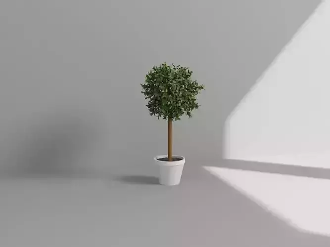 Vol2 Accessory0019 VR