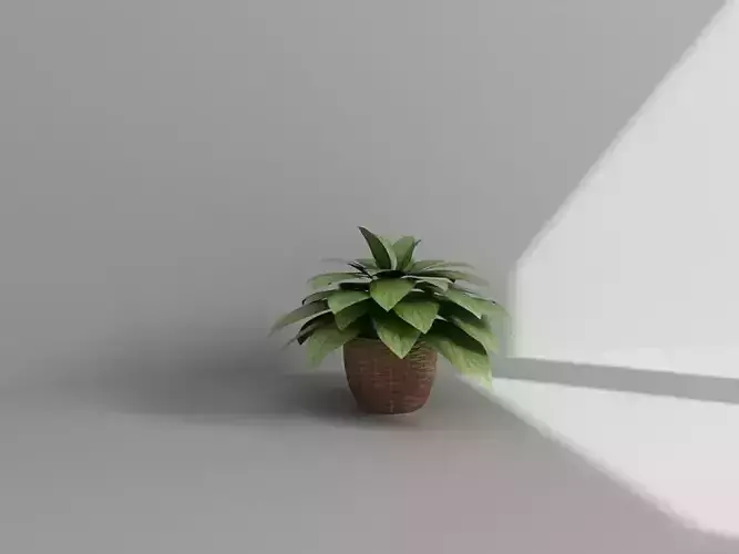 Vol2 Accessory0015 VR