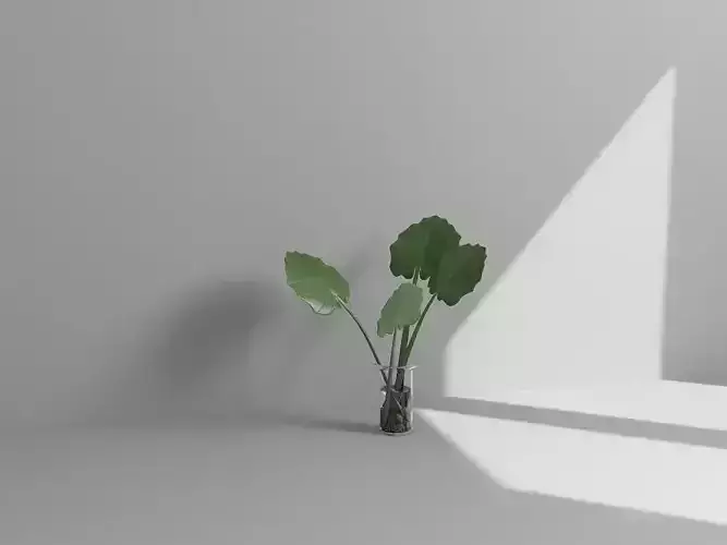 Vol2 Accessory0034 VR