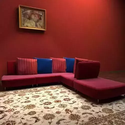 Sofa living room with couch and rug